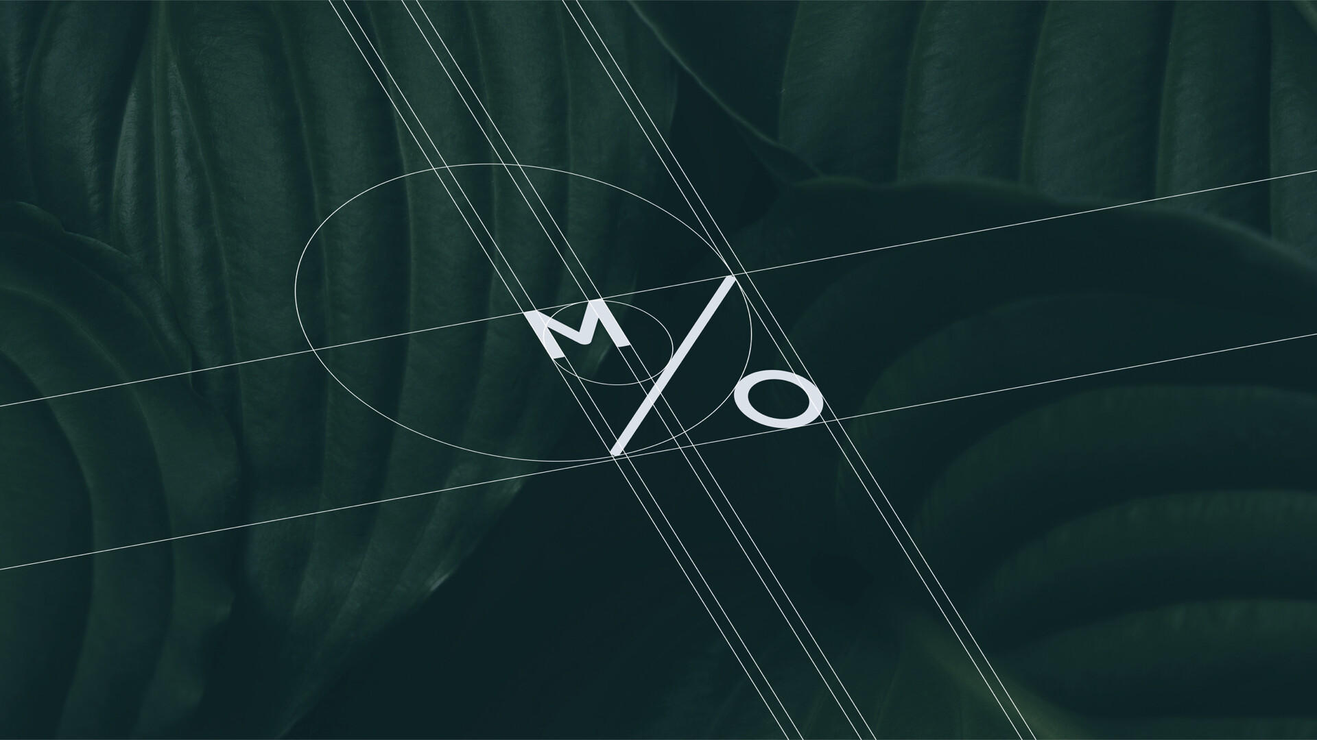 Mo.003.jpg