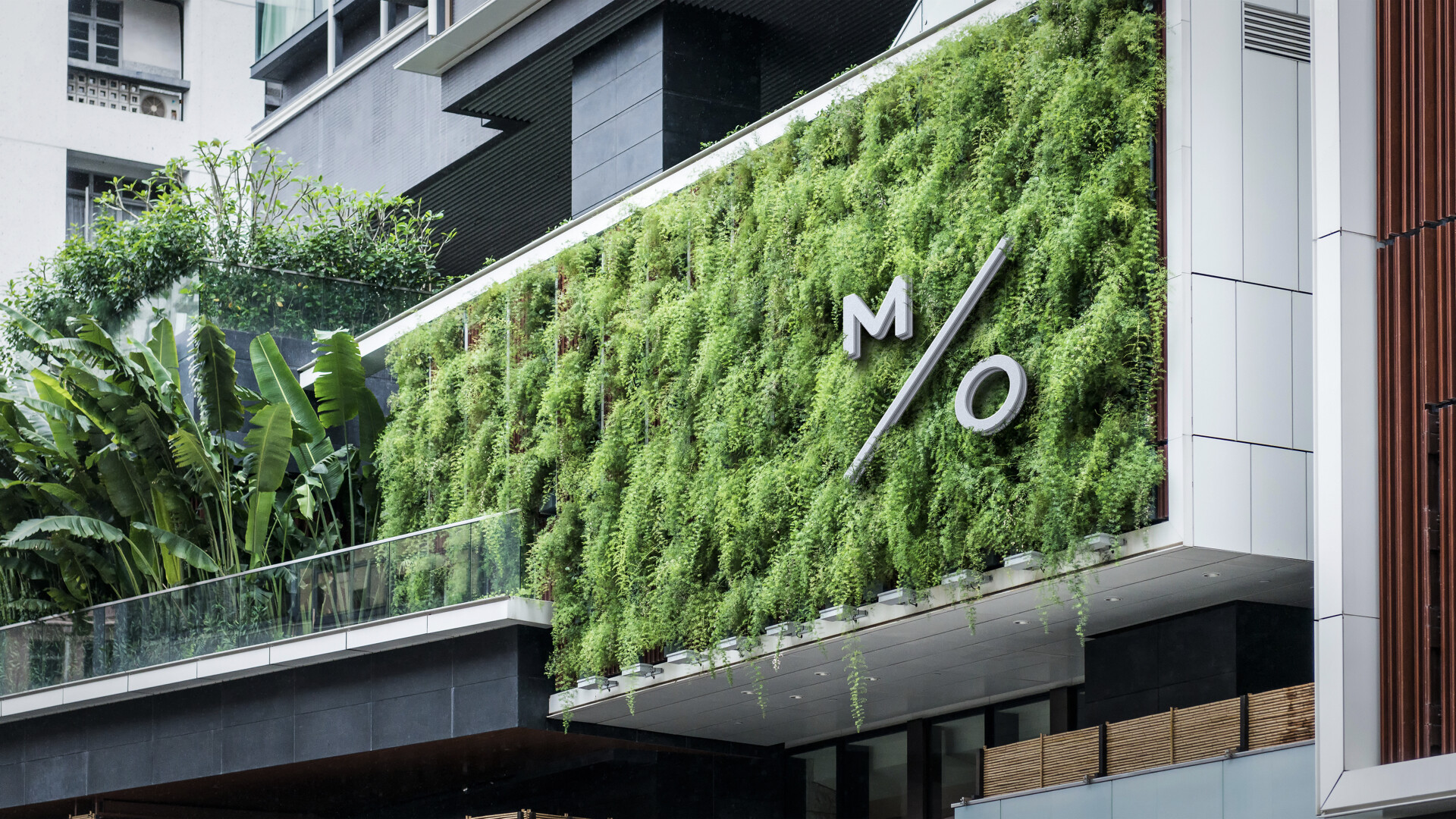 Mo.005.jpg