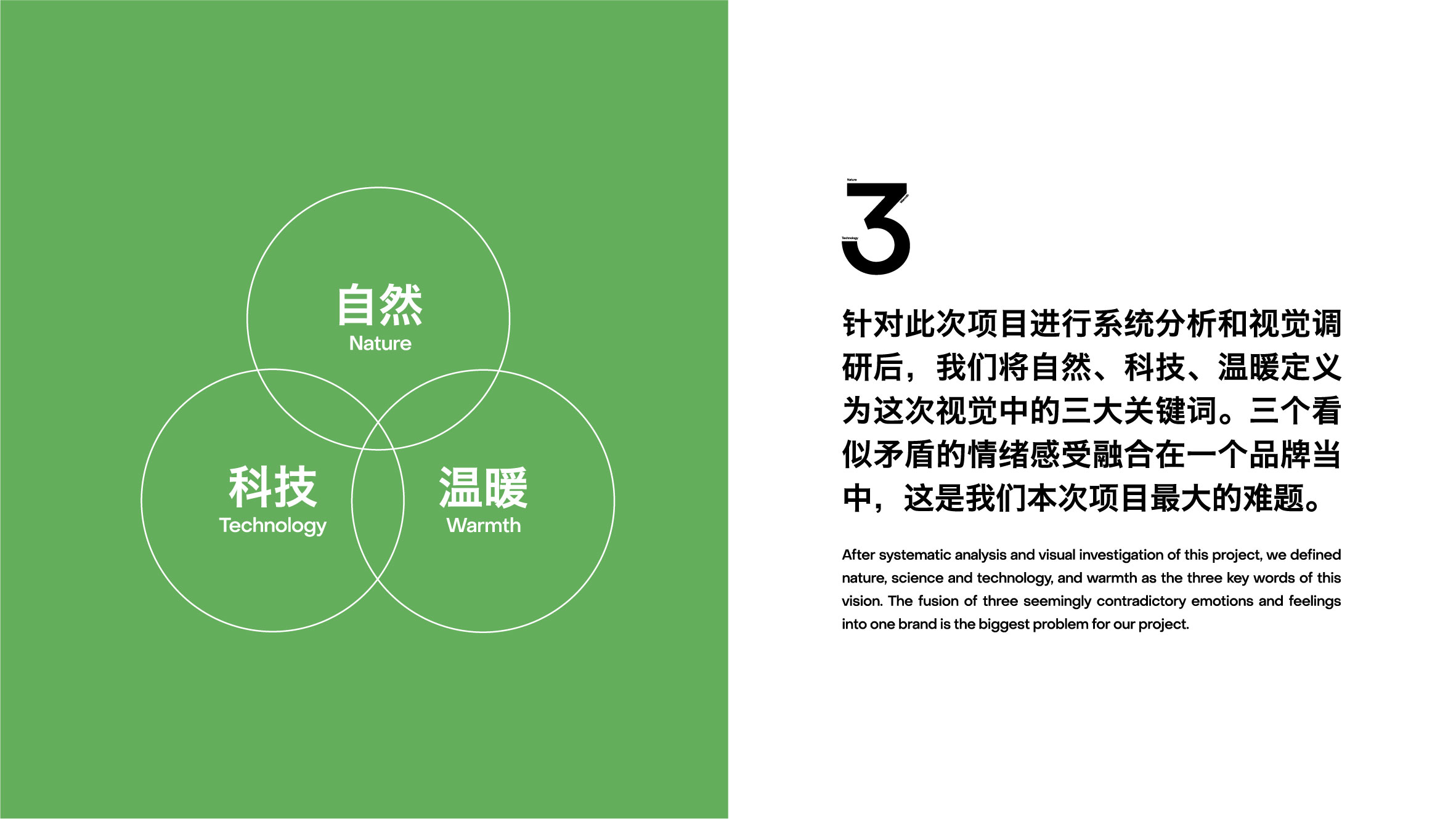 巨物仙人掌-05.jpg