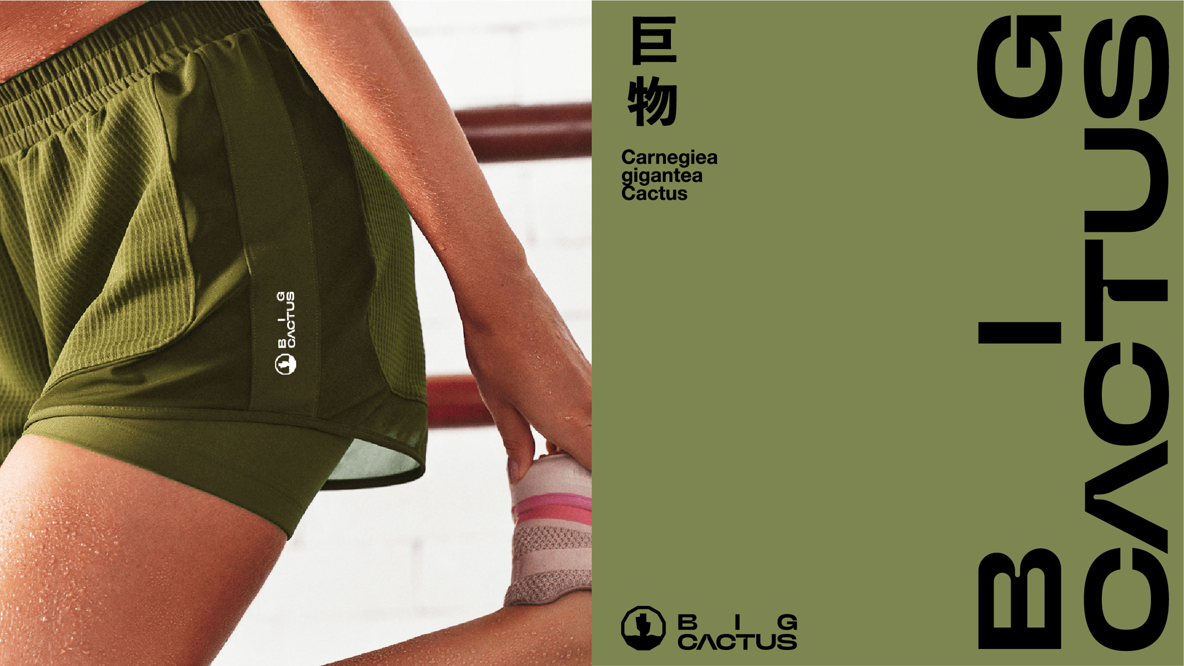巨物仙人掌-27.jpg