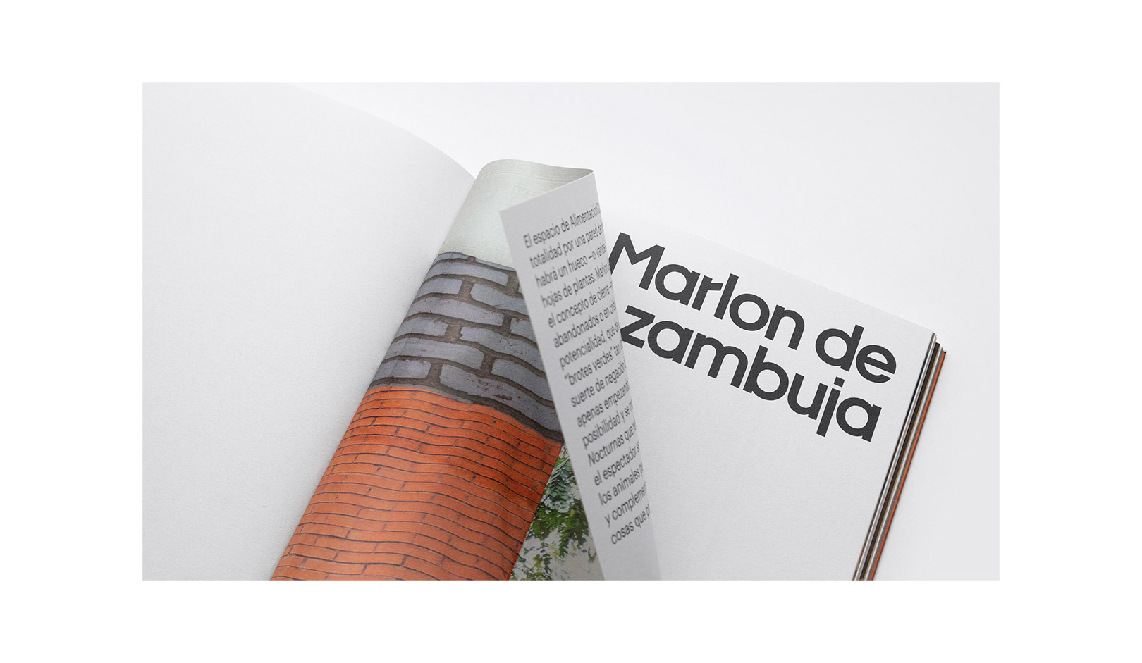 企業(yè)進(jìn)行品牌設計一般要設計哪些要素？