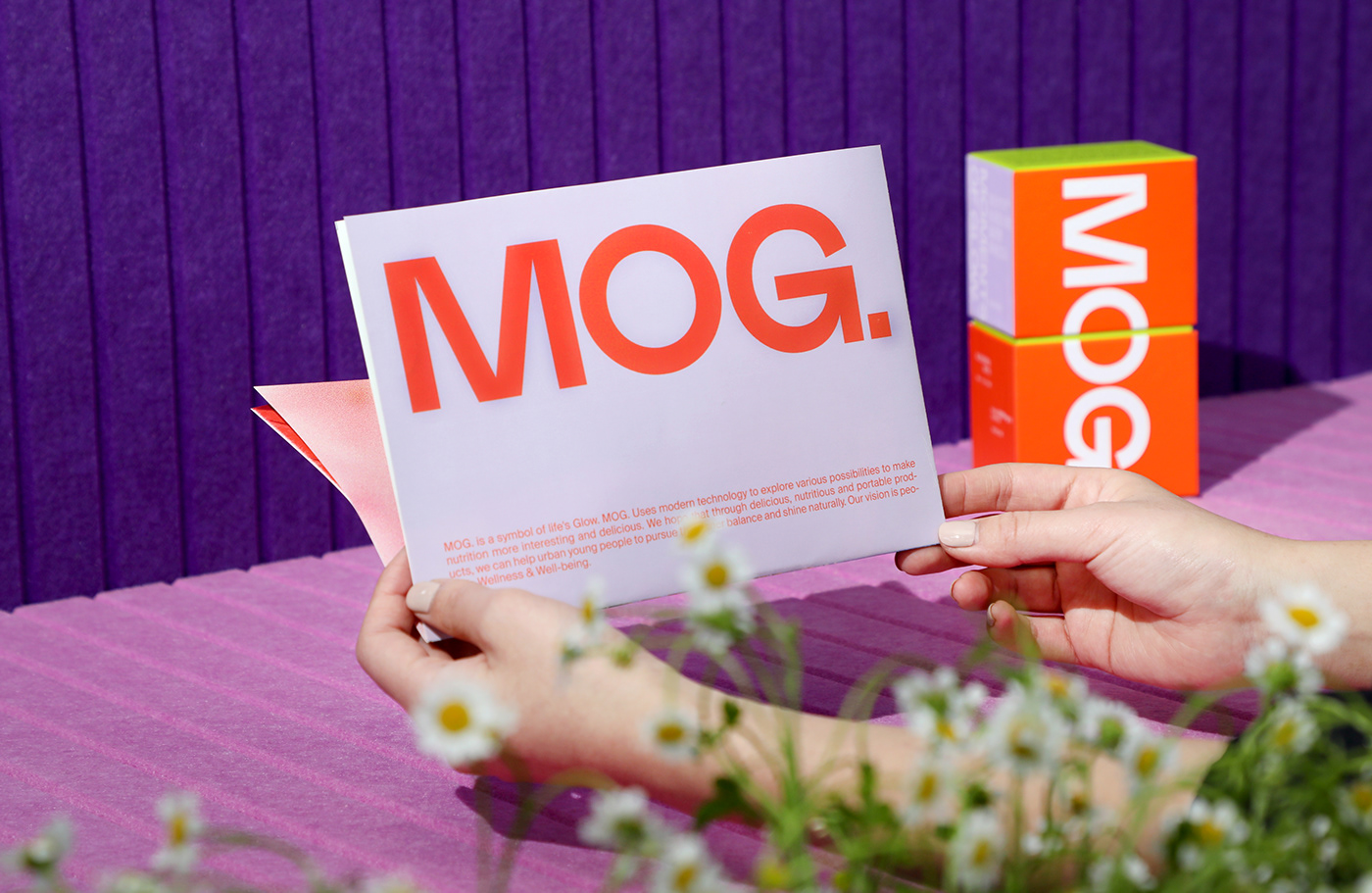 包裝設計的組成部分有哪些？